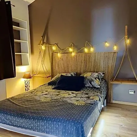 Apartment Le Nid Tropical Villefranche-sur-Saone