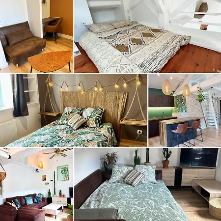 Le Nid Tropical Apartment Villefranche-sur-Saone