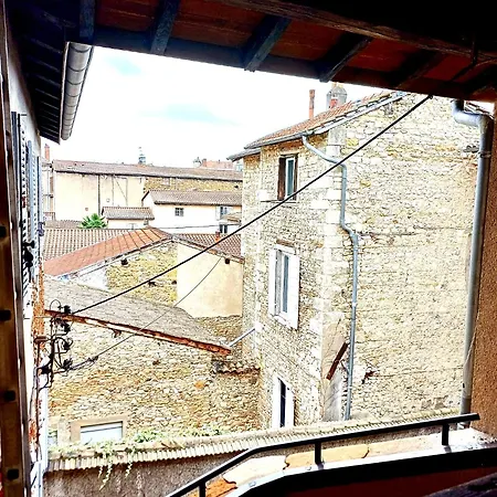 Le Nid Tropical Proche Gare Villefranche-sur-Saône