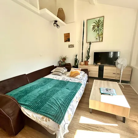 Le Nid Tropical Proche Gare Apartment *