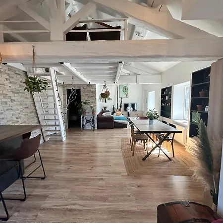 Le Nid Tropical Proche Gare Apartment